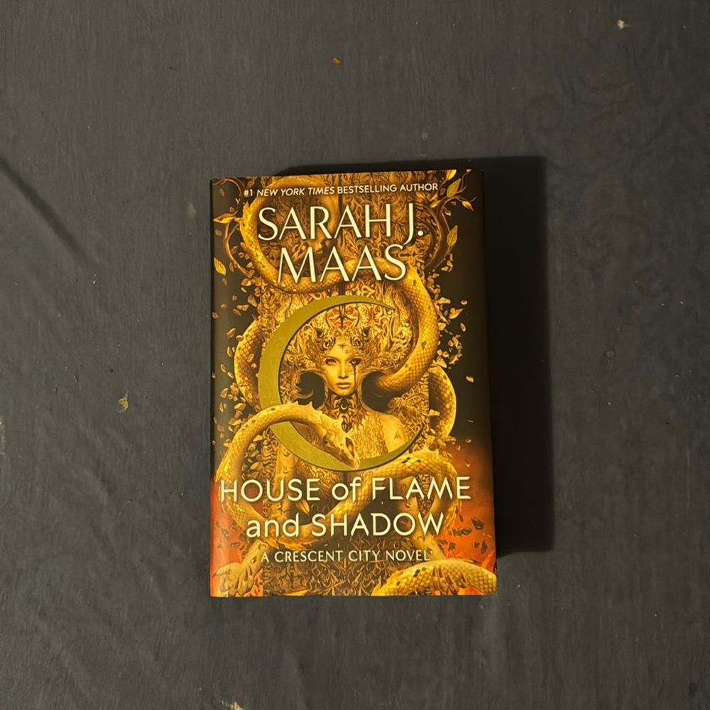 House of shadow and flames second copy